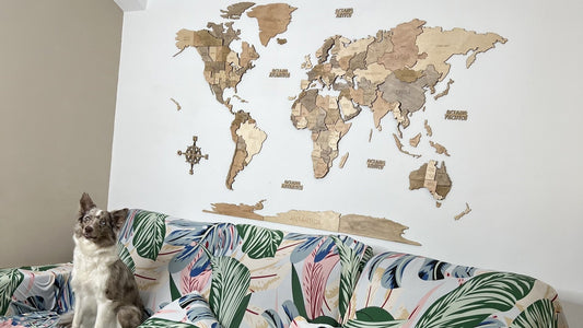 Cómo nació Mapache Maps