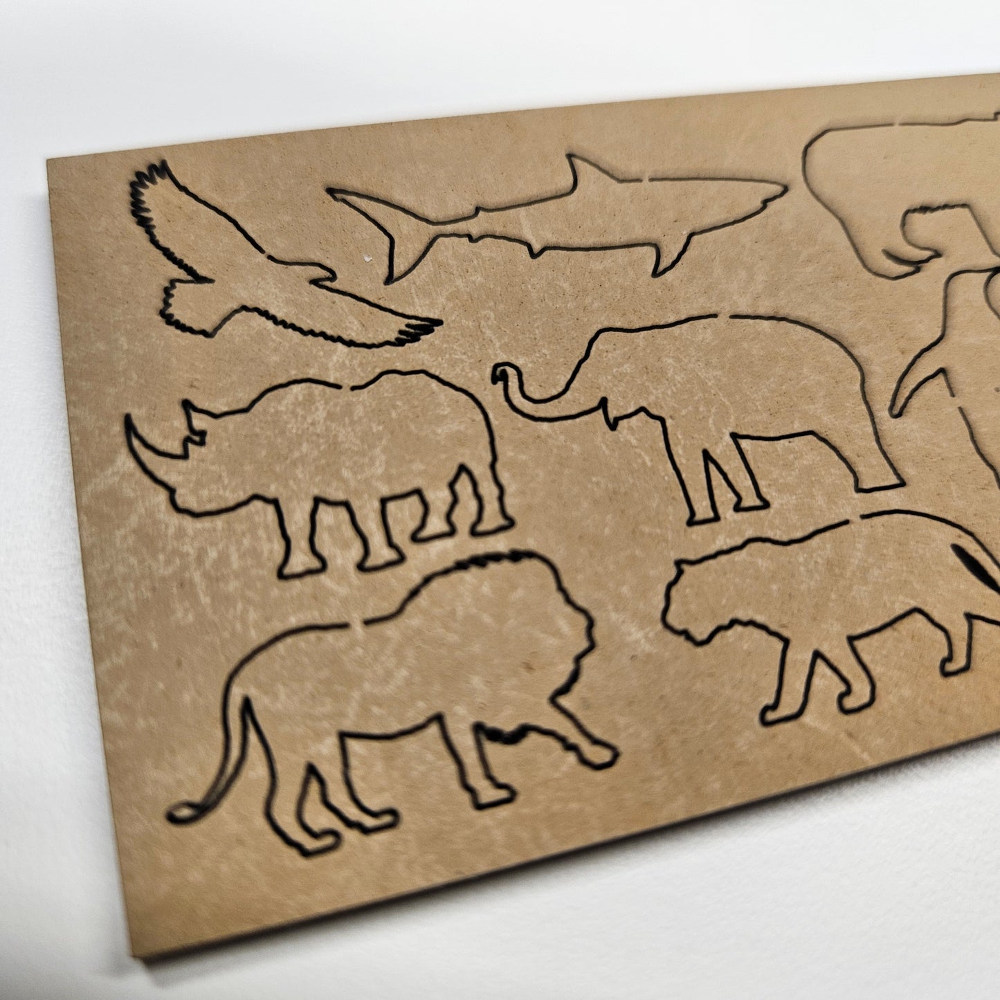 Pin autoadhesivo de animales del mundo